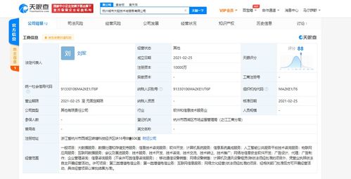 杭州城市大腦技術(shù)與服務(wù)公司成立，打造人工智能公共服務(wù)新平臺